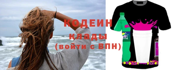 сатива Новозыбков