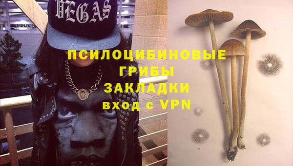 гидра Нягань