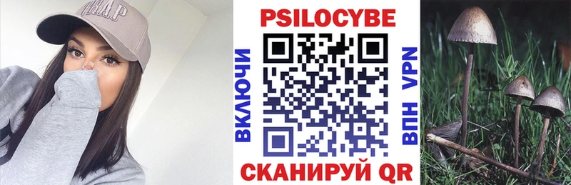 наркотики Белёв Галлюциногенные грибы мицелий
