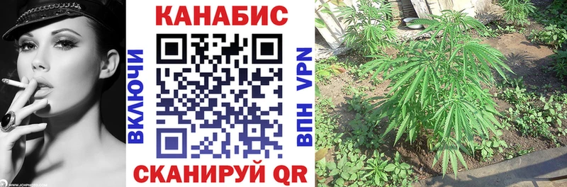 сколько стоит  Белёв  Марихуана Ganja 
