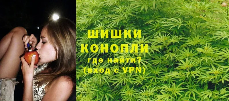 Бошки Шишки планчик  как найти   Белёв 